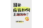 JDB电子游戏2025年国补政策将结束家